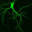 Paul De Koninck Lab | greenspine.ca