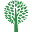 Green Tree Pecan Company