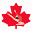 Gym Score Depot: All About Gymnastics Olympics in Canada