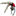 Gymnastics Results