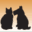 Gainesville Veterinarian | Haile Plantation Animal Clinic