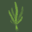 Hardy Fern Foundation | Fern Collection and Study Garden | Federal Way, WA