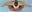 Hauraki Aero Club – For the love of flying!