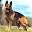 Best German Shepherd Breeder & Training in Nokesville, VA