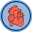 #1 for Heart Surgery in NJ and NY: Mid-Atlantic Surgical Associates