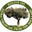 Holive extra virgin olive oil from Israel – HoliveOil