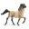 Horse of the Americas