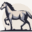 horses-arizona.com