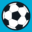 Hudson Valley Youth Soccer League