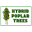 Hybrid Poplar Trees | Help America and the Environment
