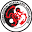 IMA Karate | A world-recognized karate organization that has been training students and instructors, of all levels, in the principles and philosophy of Shotokan Karate in Colorado for over 20 years.