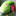 Indian Ringneck: Learn About Your Feathered Family Member! - INDIANRINGNECK.COM