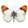 InsectNet : the network for insect collectors.
