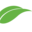 All Your Print Needs Under One Leaf! - Island Blue Print Reprographics