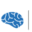 ISNR | International Society for Neuroregulation & Research