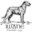 Irish Wolfhound Association of New England – A non-profit 501(c)(3) charitable organization and AKC Licensed Specialty Club dedicated to the welfare of the Irish Wolfhound.