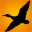 Texas & Louisiana Fishing Guides | Jason Catchings