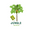 JungleSeeds