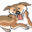 WAG, Inc. – Happy Dogs WAG !