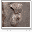 Southern Arizona Fossils Home Page