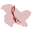 Kashmir Times (Since 1954): Multi-media web news platform.