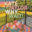 Kate Taylor Music – Why Wait?