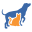 Kennel Link – Kennel Management Software | Best Dog Kennel & Grooming Software