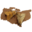 Kent Moths
