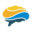 Kavli Institute for Brain and Mind