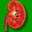 The Kidney Stone Web Site - Why Be Concerned