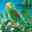 Kites and Puppets – Kites, Puppets, Toys