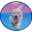 Golden Retriever Breeder | K-Jen Goldens | Reputable Golden Retriever Breeder In North Carolina | Golden Retriever Puppies