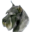 korppret.com
