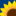 ksbn.kansas.gov | Kansas Nursing Board