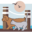 Portsmouth, NH Veterinarian - Lafayette Animal Hospital - NH & Maine Vet