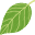 Welcome to Leafninja.com! Your Naruto Information Source.