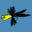 Fly Fishing Club - Lew Jewett Chapter of IFFF - Minneapolis/St.Paul