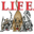Life Animal Rescue