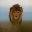 University of Minnesota Lion Center |