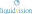 Liquid Vision