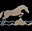 Horse Boarding & Training l Equestrian Center l Placer County CA – Horse Boarding & Training l Equestrian Center l Placer County CA