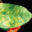Loewe Biochemica GmbH | Solutions for Plant Disease Diagnostics