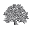Home | London Waldorf School
