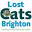 lostcatsbrighton.org.uk