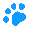 Belgian Shepherd Dogs at Lumineux Australia ~ Groenendael and Tervueren