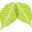 Homepage | Lung Cancer Canada