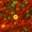Lyon Research Group – Soft Matter @ Chapman University