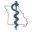 MAOPS: Advancing Osteopathic Medicine in Missouri