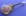 Mark Simon Guitars - Stringed Instrument Repair & Restoration