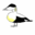 Max Eider